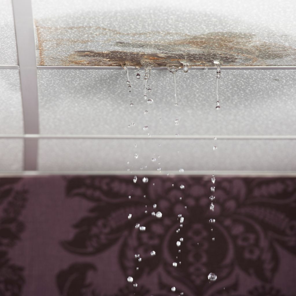 Leak Detection and Repair Services